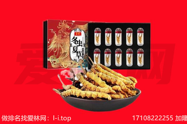 巴音郭楞州和静县回收虫草.jpg